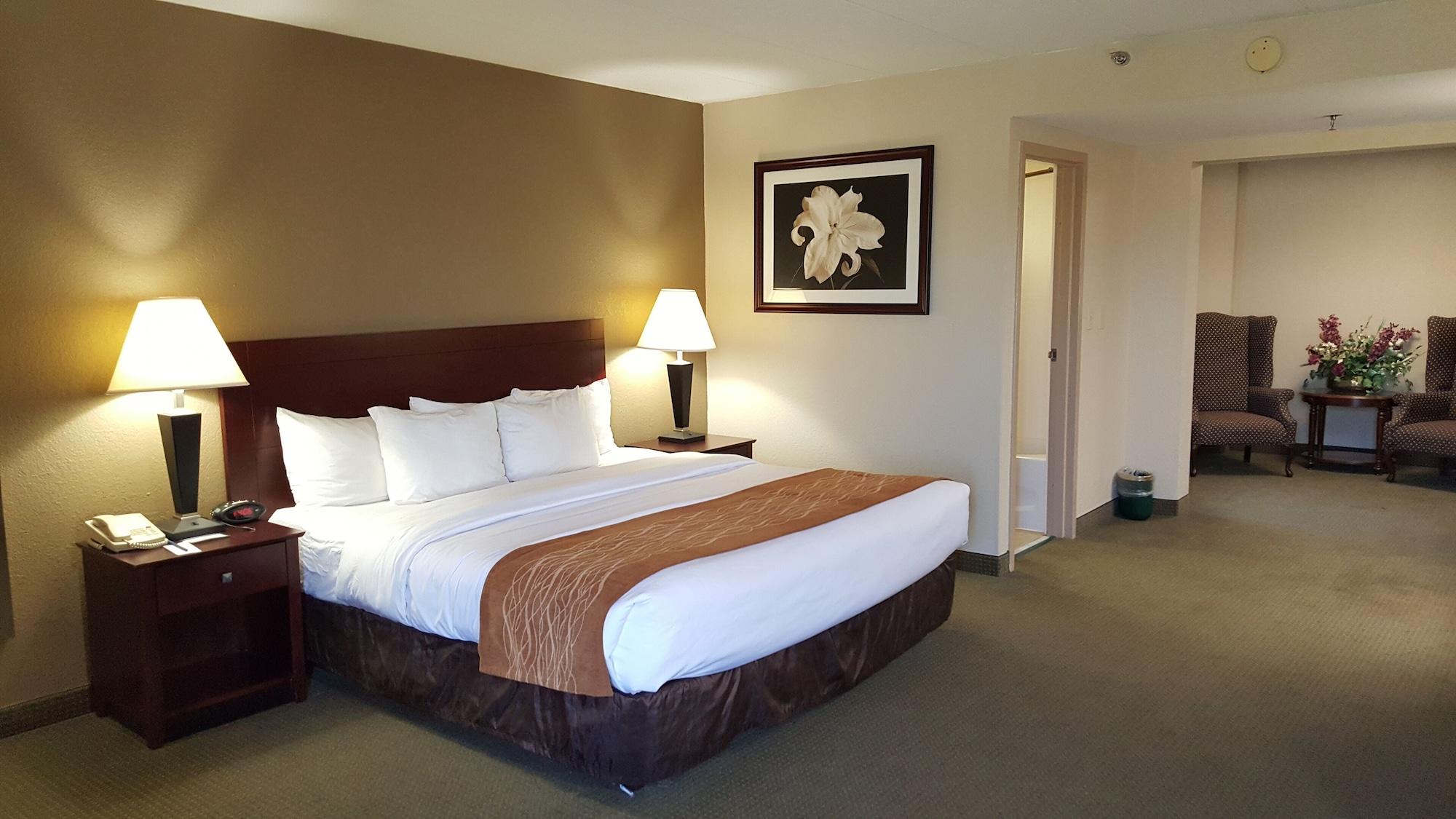 Comfort Inn Northeast Мейсон Экстерьер фото
