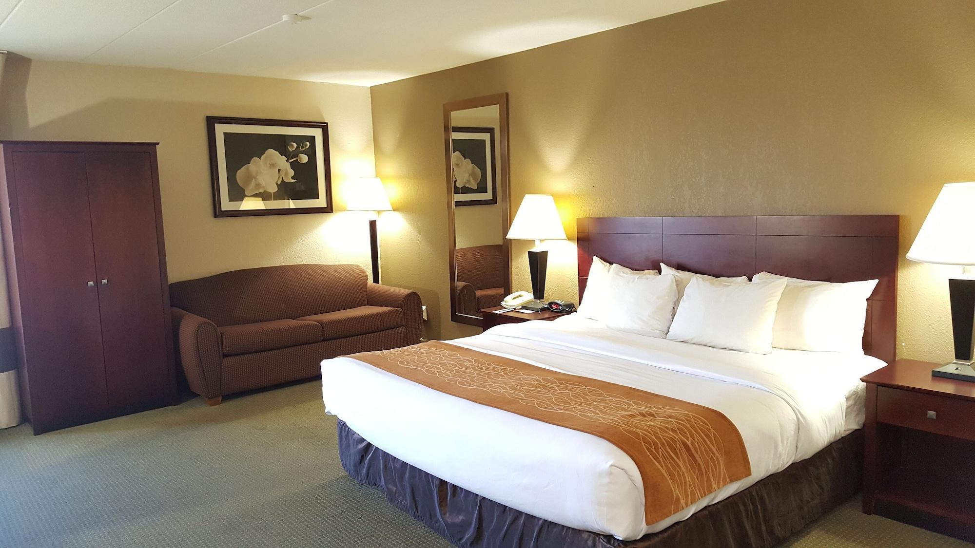 Comfort Inn Northeast Мейсон Экстерьер фото